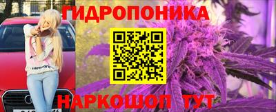 амф Партизанск