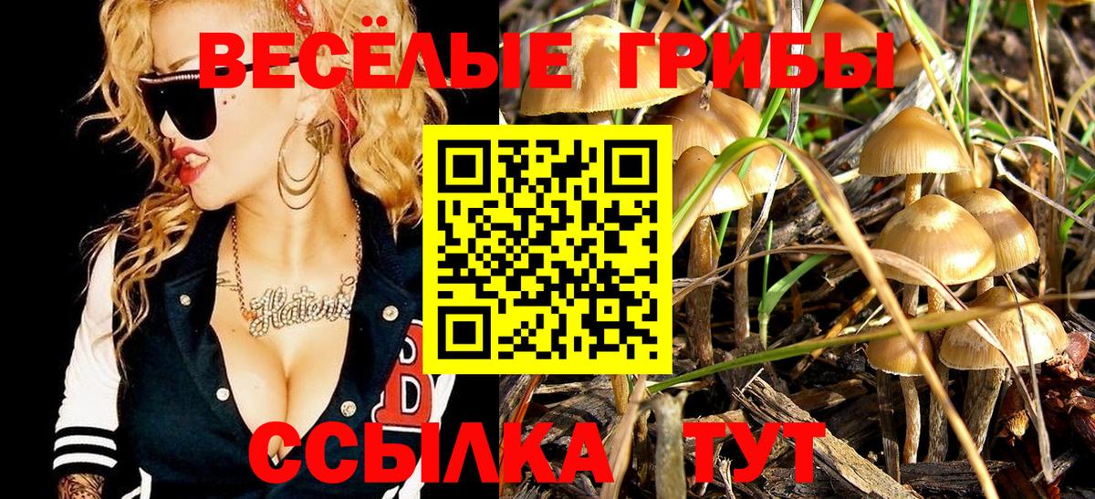 Рузаевка  Псилоцибиновые грибы прущие грибы  как найти закладки  Вход с VPN 